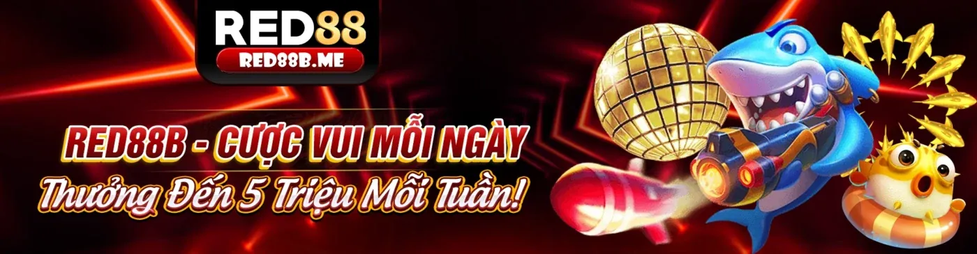 Chính sách lưu trữ dữ liệu mv66 login